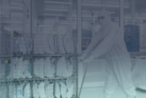 Annex 1 garment audit readiness