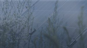 Background image_end-of-life program impa_faded gradient